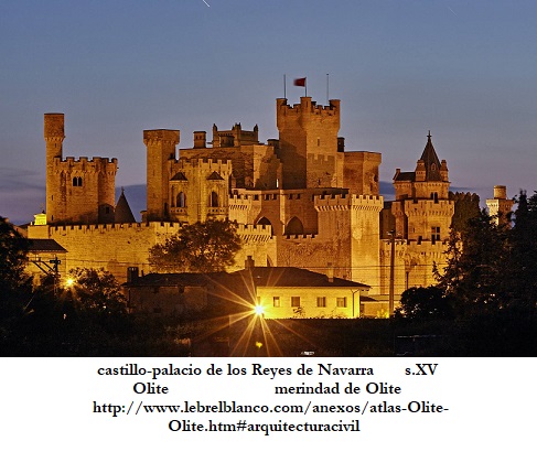 1/9d palacio de los Reyes de Navarra de Olite